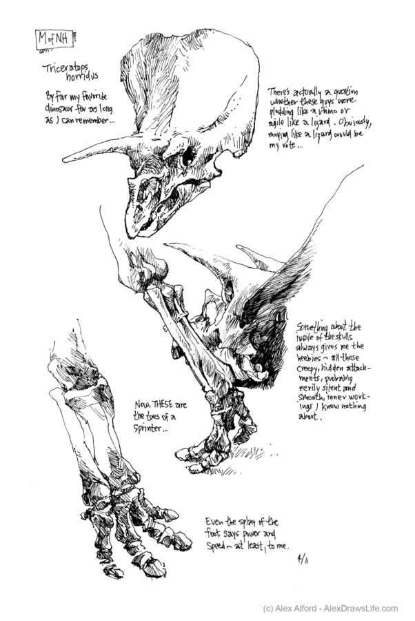 nyc: dinosaurs, 6 x 8in/16 x 21cm, pen drawing at AlexDrawsLines.com